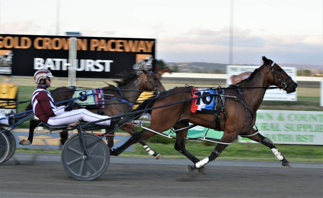 Masons Delight flew home in the final 100 metres to win the Margaret Mawhood Memorial. Picture by Anya Whitelaw