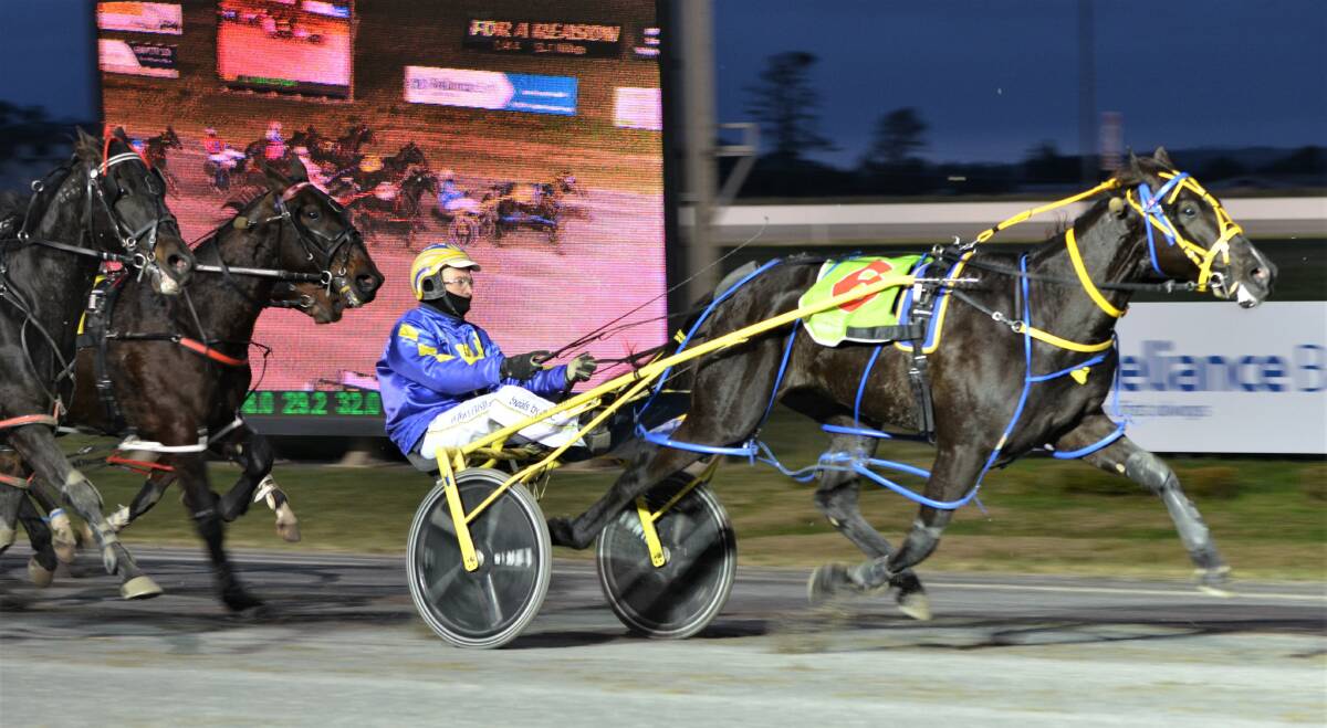 BATTLE OF BOSTON: Anthony Frisby drove Our George Boston to his fourth career win on Wednesday night. Photos: ANYA WHITELAW