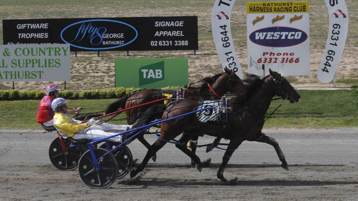 TIGHT BATTLE: Todd McCarthy and Astride narrowly hold off Conviction in their Gold Chalice heat on Monday. Photo: CHRIS SEABROOK 032017ctrots2