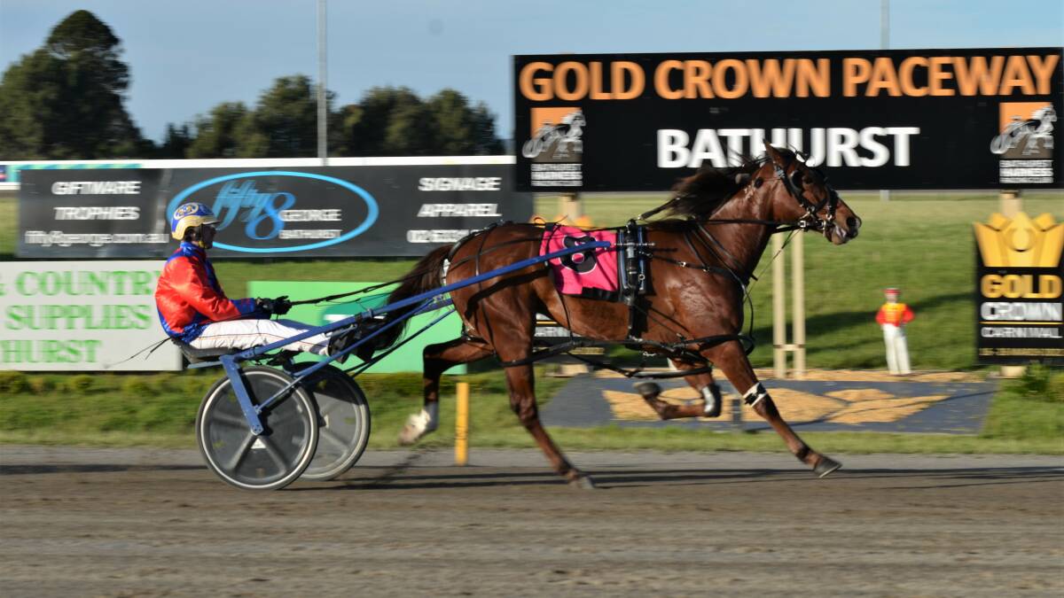 ULTIMATE REWARD: Cameron Hart steered two-year-old colt My Ultimate Billy to a commanding victory at the Bathurst Paceway on Wednesday. Photo: ANYA WHITELAW