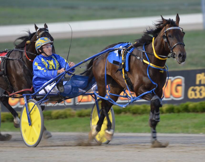 HOPEFUL: In a bid to improve his Inter Dominion ranking, Anthony Frisby will drive Our Uncle Sam first up in a Group 3 at Menangle.