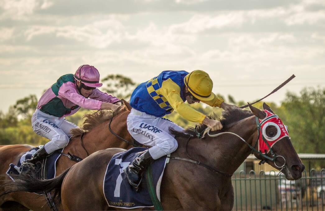 IN FORM: Aaron Bullock guides Something Borrowed to victory at Dubbo Turf Club earlier this year. Photo: JANIAN MCMILLAN (www.racingphotography.com.au)