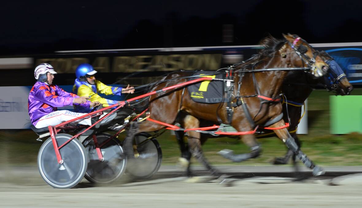 CAN'T BE SPLIT: Wattos Mate (inside) and Infinity Beach (outside) dead-heated for victory on Wednesday night. Photo: ANYA WHITELAW