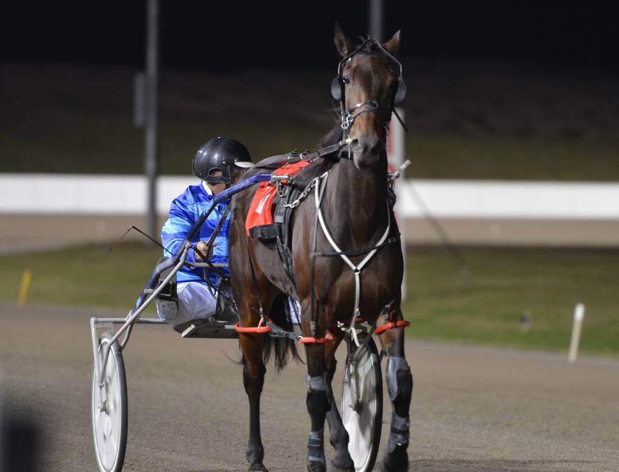NICE DOUBLE: Dinosaurus Rex, pictured at Bathurst, was one of two winners for Graham Betts at Dubbo's meeting on Sunday.