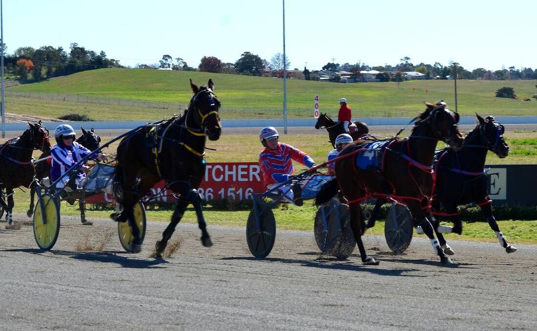 ON THE CHARGE: The Phoebe Betts driven Just Ernie (yellow wheels) closes in on favourite Mach Daddy down the home straight. Photo: ANYA WHITELAW