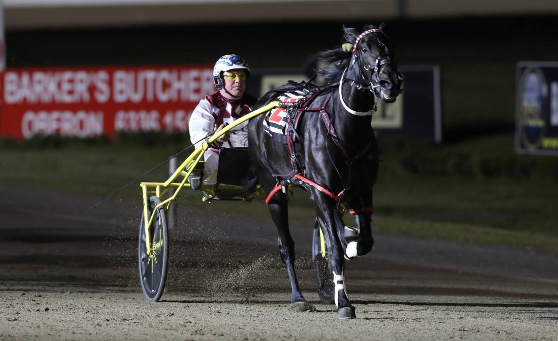 Hot favourite Dr Susan delivers for Anthony Butt in the Gold Bracelet Final. Photos: PHIL BLATCH
