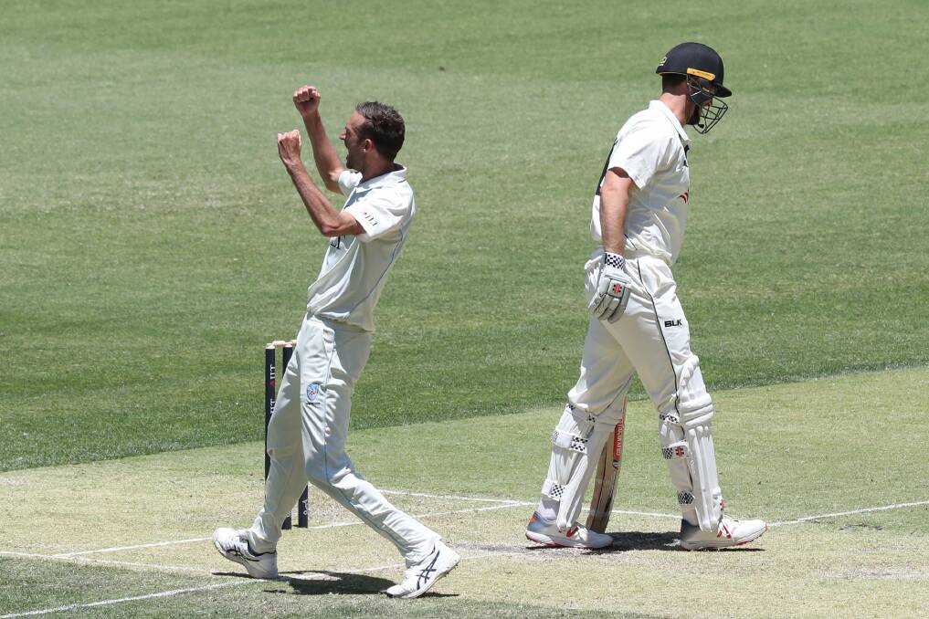 GOT HIM: Blues star Trent Copeland celebrates after dismissing Western Australia's Mitch Marsh during their Sheffield Shield match in Perth. Photo: AAP