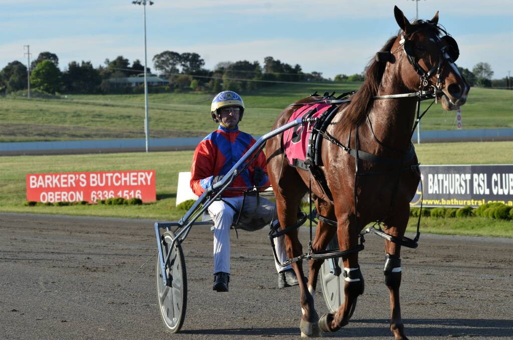 THREE FROM THREE: My Ultimate Billy continued the unbeaten start to his career when taking out the first race at the Bathurst Paceway on Wednesday night. Photos: ANYA WHITELAW