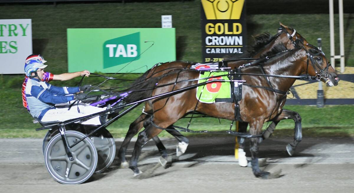 OH SO CLOSE: The Luke McCarthy driven Idyllic holds on to beat Kashed Up in the Gold Chalice Final. Photo: CHRIS SEABROOK