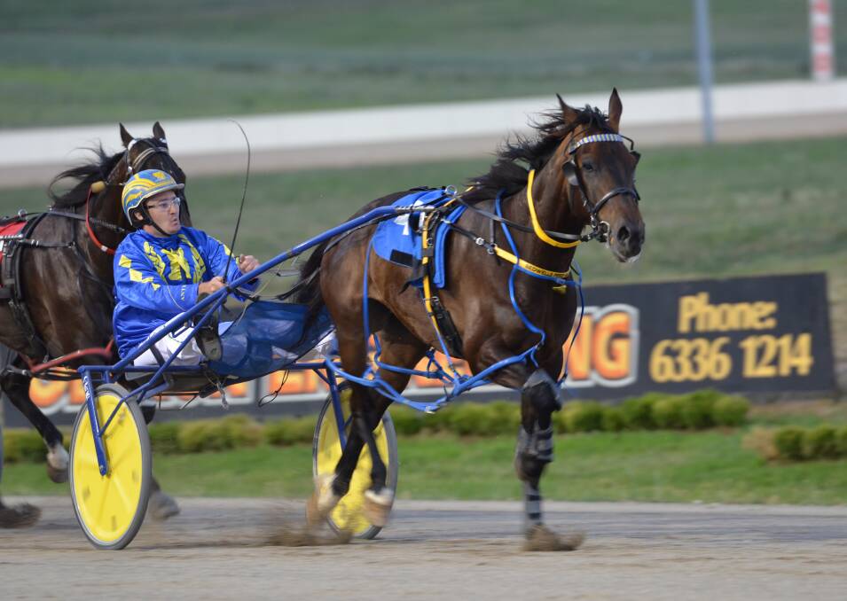ON THE HUNT: Anthony Frisby will steer Our Uncle Sam in the Group 1 Blacks A Fake Queensland Championship at Albion Park on Saturday night.