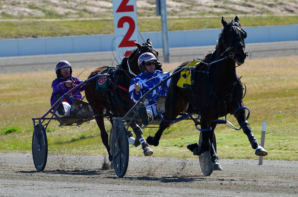 FLYING ALONG: Joint Venture posted an all-the-way win on debut for his Bathurst trainer-driver Mat Rue. Photo: ANYA WHITELAW