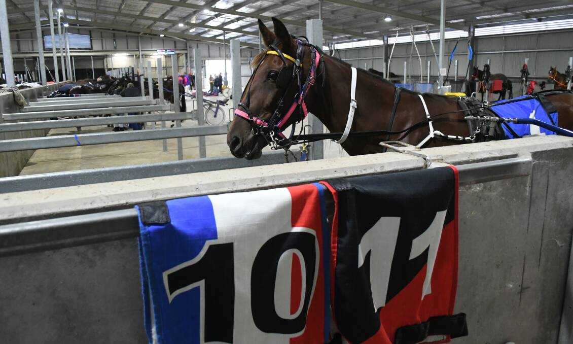 I'VE GOT YOUR NUMBER: For more than 50 years Brian Callan handed out the saddle cloths at the Bathurst Harness Racing Club meetings.