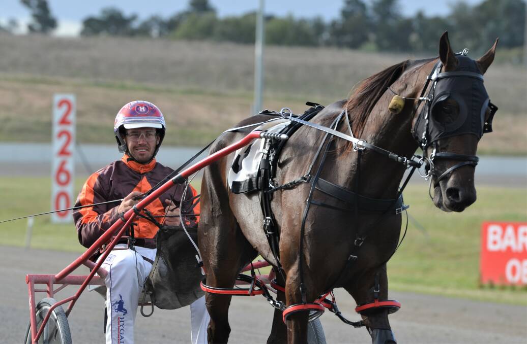ON A ROLL: Doug Hewitt drove the Michael Muscat trained Semi Sensation to her third win this season. Photo: ANYA WHITELAW