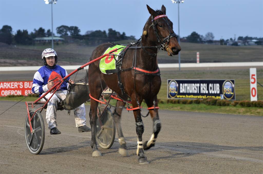 FANTASTIC FOUR: Jason Hewitt drove Taylors Four to the second win of her career on Wednesday night. Photos: ANYA WHITELAW