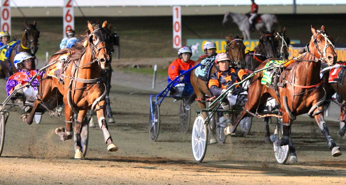 IN FORM: Mat Rue's Fouroeight (left) is chasing five wins in a row when he lines up at Menangle Park on Saturday night.