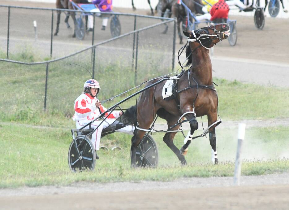 TROUBLE: Gemma Hewitt's Keayang Kreuzer rears up before the start of the Soldiers Saddle Final. Photo: CHRIS SEABROOK 