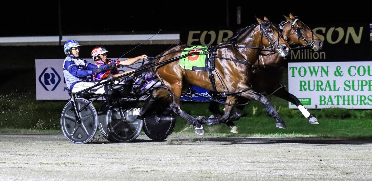 ANOTHER CRACK: When Bernie Hewitt drove Kashed Up (inside) in the Gold Chalice Final he missed out by a head. This Saturday he will get another chance in a Group 1 final. Photo: COFFEE PHOTOGRAPHY AND FRAMING
