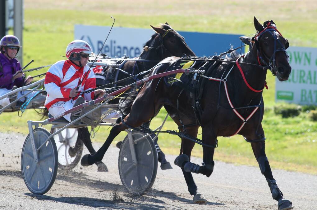 FIRST SUCCESS: Eglinton trainer-driver Nathan Hurst guides Jimmy Tulhurst to his maiden victory. Photo: PHIL BLATCH