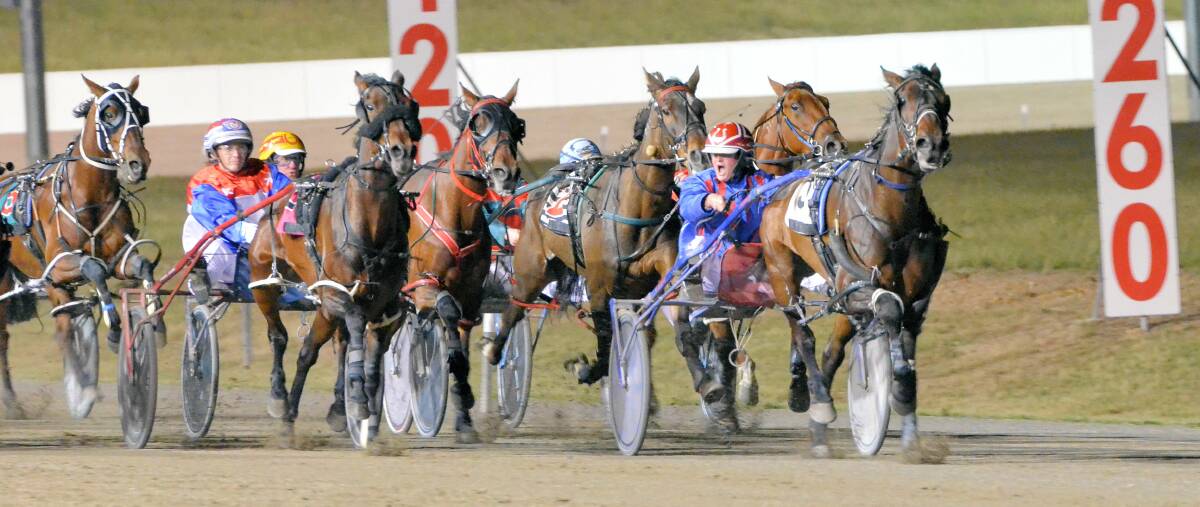 Lucky Nutter took out Friday night's Harness Racing NSW Rewards Series Final