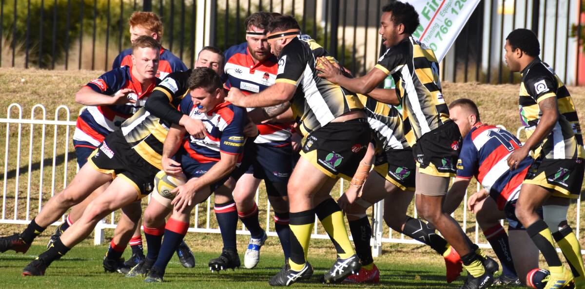 WOMBATS? WOWSERS!: The Mudgee Wombats first grade side won hosting rights for the New Holland Cup grand final on Saturday, while the second XV and women's sides are also through to their respective deciders. Photo: JAY-ANNA MOBBS