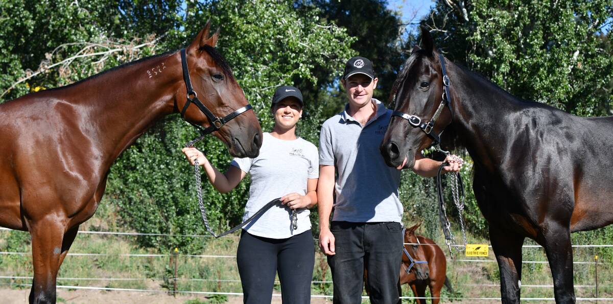 HONOURED: Bathurst trainer Gemma Rue, pictured with husband Matt, took out the Menangle First Lady Award for her impressive 2018-19 season.