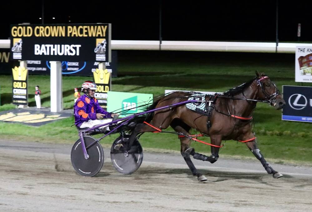 Georges Plains trainer Bernie Hewitt enjoyed a winning double on Saturday night. The first leg came when her steered Dukkah to victory. Photos: PHIL BLATCH