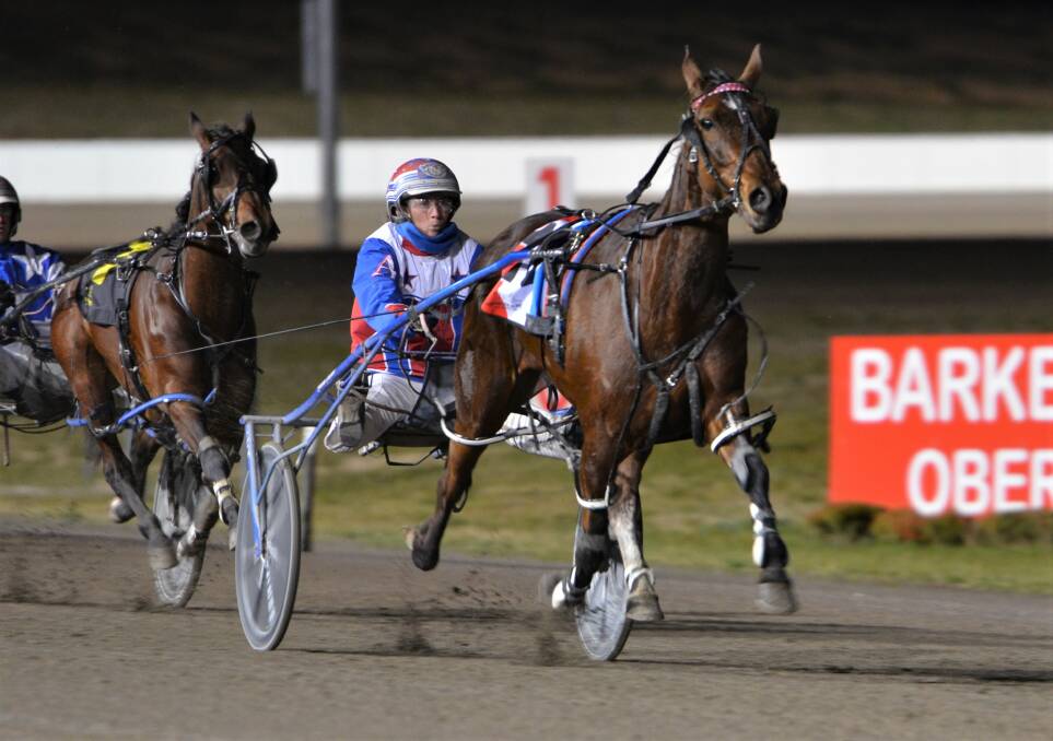 SWEET SUCCESS: Four-year-old mare Sweet Heaven made it four in a row for Amanda Turnbull when winning on Friday night. Photos: ANYA WHITELAW