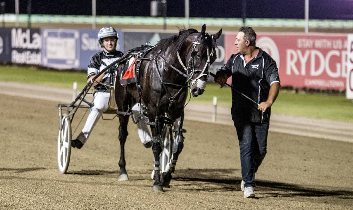 ANOTHER SHOT: Todd McCarthy placed third in last year's Inter Dominion grand final with Tiger Tara, a result he is hoping to better this Saturday night in the 2018 decider. Photo: ASHLEA BRENNAN PHOTOGRAPHS