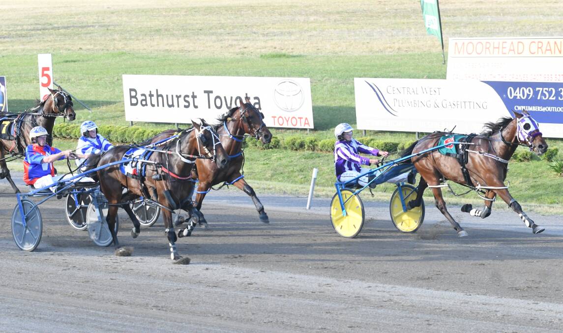 VICTORY: Veteran Snoop Stride notched up yet another career win on Saturday night and it was one of his most special ones given it came in the Ray and Olive McCarthy Memorial. Photo: CHRIS SEABROOK