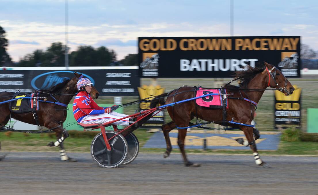 RAINBOW CONNECTION: Mitch Turnbull was delighted with The Rainbow Beach's frontrunning performance at the Bathurst Paceway on Wednesday. Photos: ANYA WHITELAW