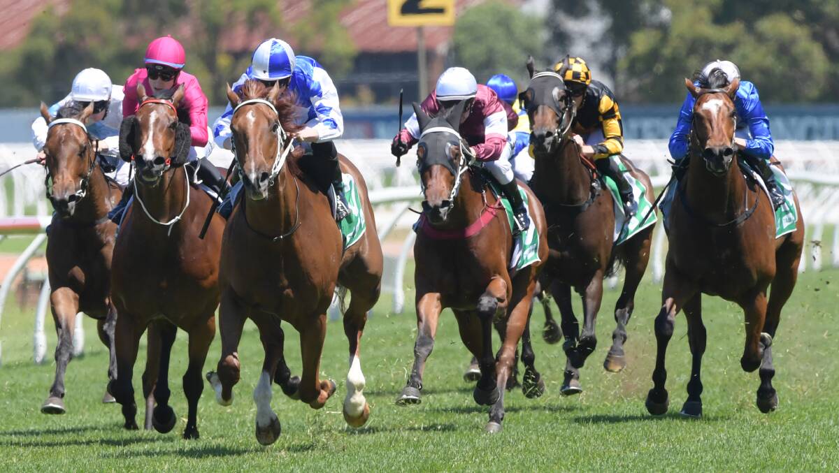 NECK AND NECK: I Am Capitan (pink) and Noble Boy (blue and white) battle it out down the straight at Rosehill Gardens in Saturday's Highway Handicap. Photo: AAP