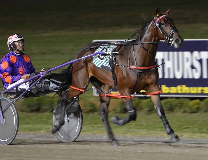 LOCAL HOPE: Georges Plains trainer-driver Bernie Hewitt will chase success in Sunday night's Shirley Turnbull Memorial with Make Mine Memphis