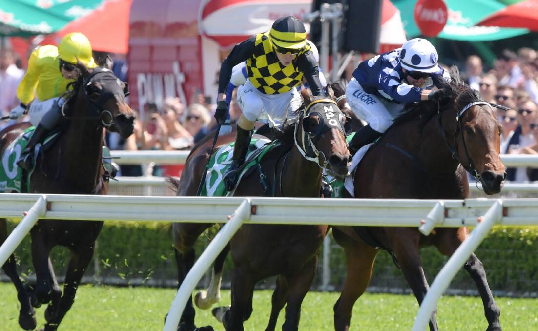 ANOTHER SHOT: The Don and Andrew Ryan trained Ave (right) placed second in her last crack at a Highway Handicap at Randwick. She get another shot on Saturday at Rosehill. Photo: AAP