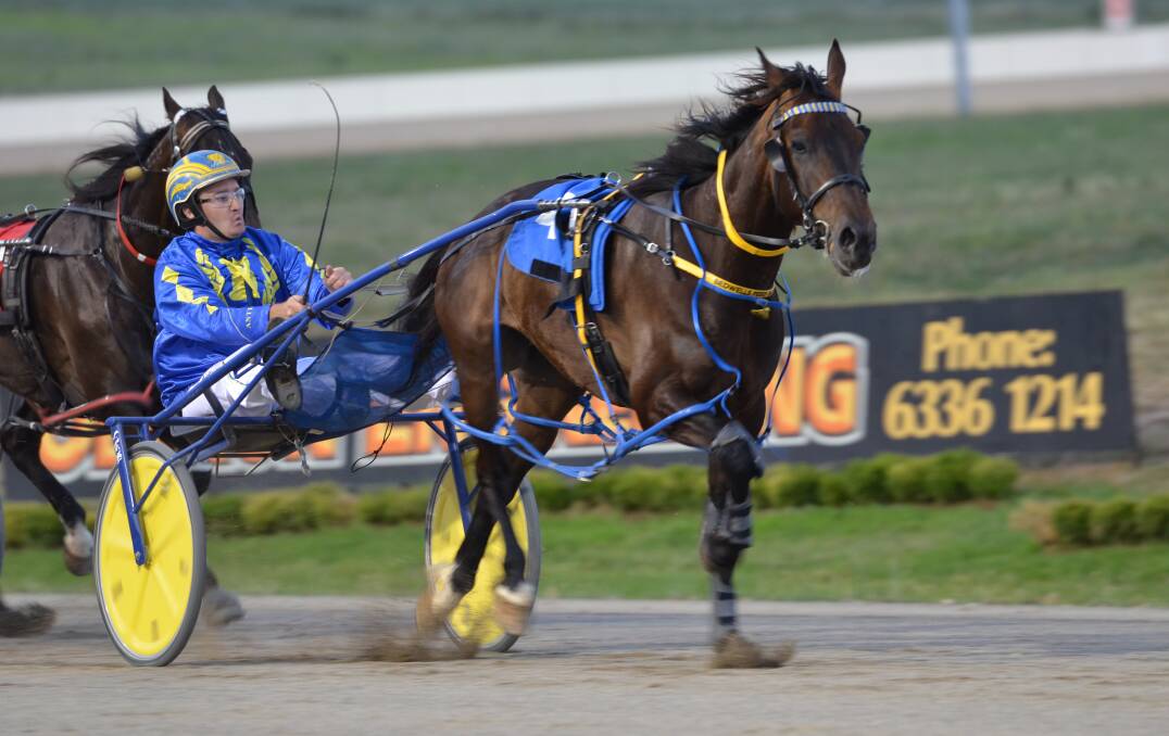 TRAVELLING WELL: Our Uncle Sam picked up a Group 2 placing in Saturday night's Shepparton Gold Cup. Photo: ANYA WHITELAW