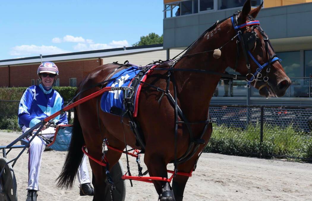 DOUBLE UP: Mitch Turnbull landed a winning double at Goulburn's meeting on Sunday, his first win coming aboard Major Bracken. Photo: GOULBURN PACEWAY