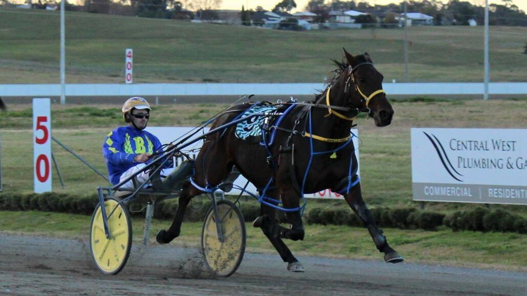 GOOD DAY OUT: Aphorism, driven by Anthony Frisby, was one of two winners for Fran Hausfeld on Sunday. On Wednesday night the owner-breeder is chasing Group 1 success.