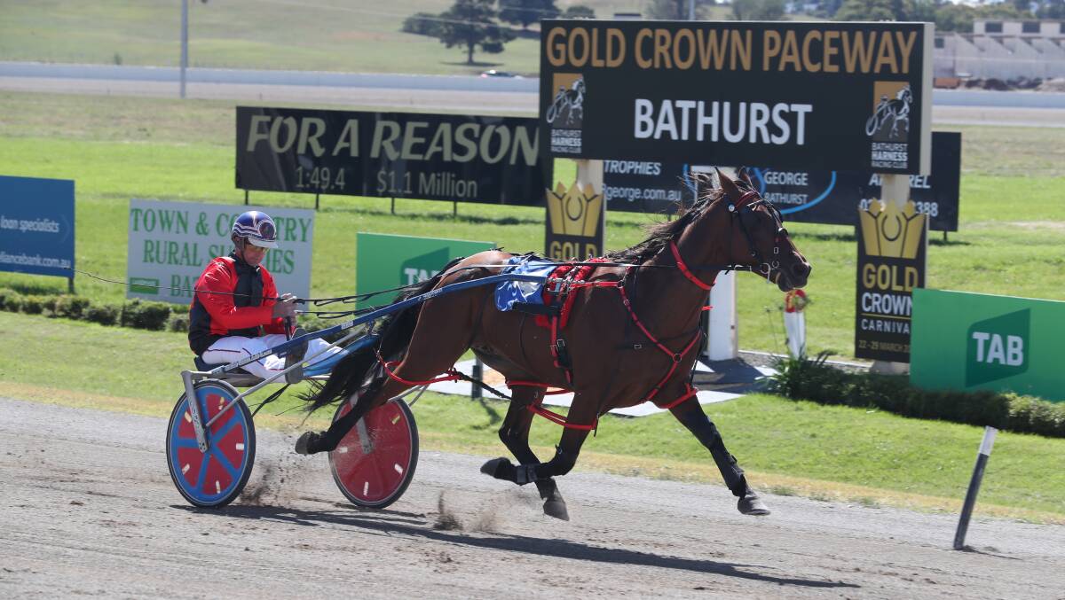 WINNER: Jason Turnbull drives Dunno Jo to a commanding win, finishing more than 10 metres clear of his rivals. Photo: PHIL BLATCH