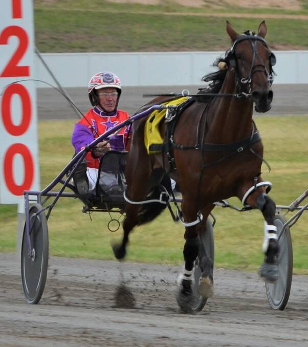 COMFORTABLE SEAT: Bernie Hewitt has been happy to have driving duties aboard Gemma Hewitt's promising two-year-old Kashed Up. Photo: ANYA WHITELAW