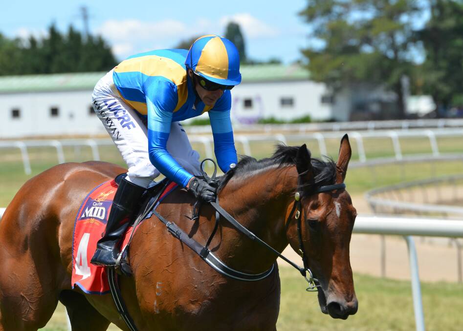 BIG DAY OUT: Judge Judi was one of five winners Greg Ryan rode on Friday at Bathurst. All of them were from the stable of Bjorn Baker. Photo: ANYA WHITELAW