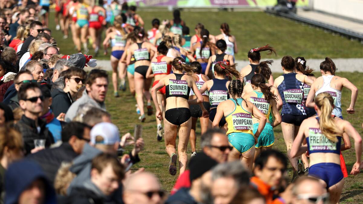 BATHURST BOUND: The world's finest cross country runners will do battle at Mount Panorama next year.