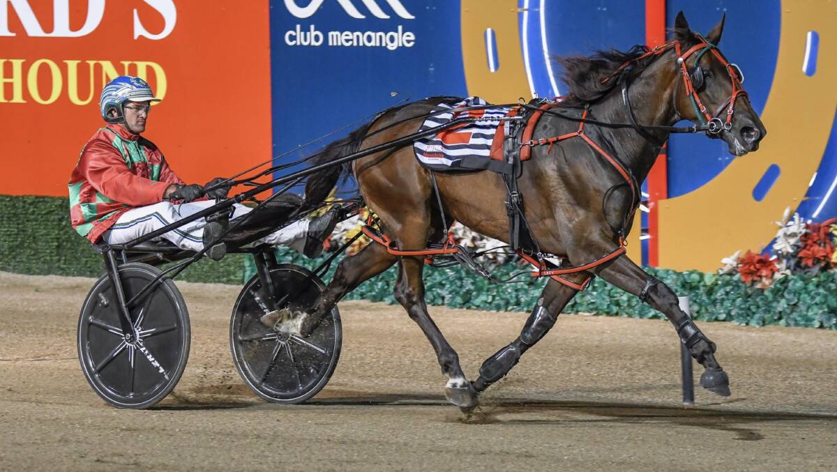 TOP EFFORT: The Tony Higgs owned Silk Cloud produced a bold run to place second in the NSW Breeders Challenge 2YO fillies final. Photo: KATE BUTT CLUB MENANGLE