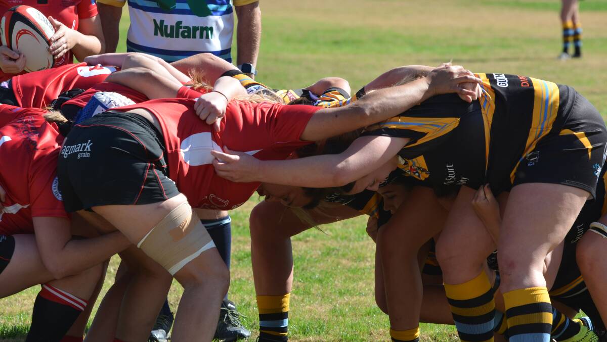 READY TO ENGAGE: While not always getting the chance to use contested scrums, when CSU's pack gets its shot at the set piece it has proved to be an attacking weapon. Photo: ANYA WHITELAW