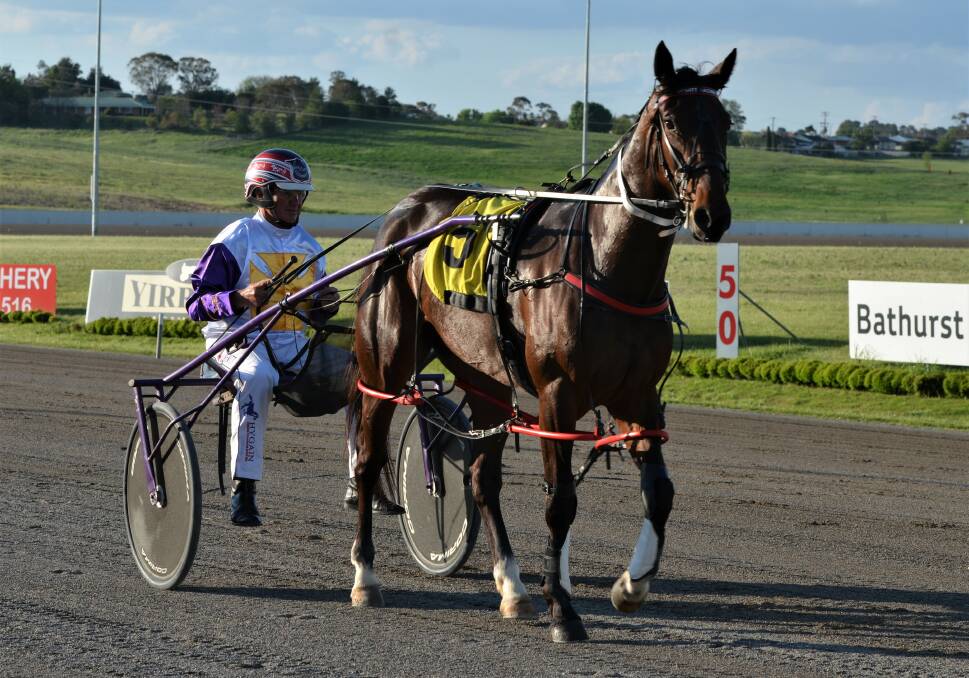 NCIE RUN: Talk About Lexy, the daughter of former star Read About Lexy, posted the sixth win of her career on Wednesday night. Photo: ANYA WHITELAW