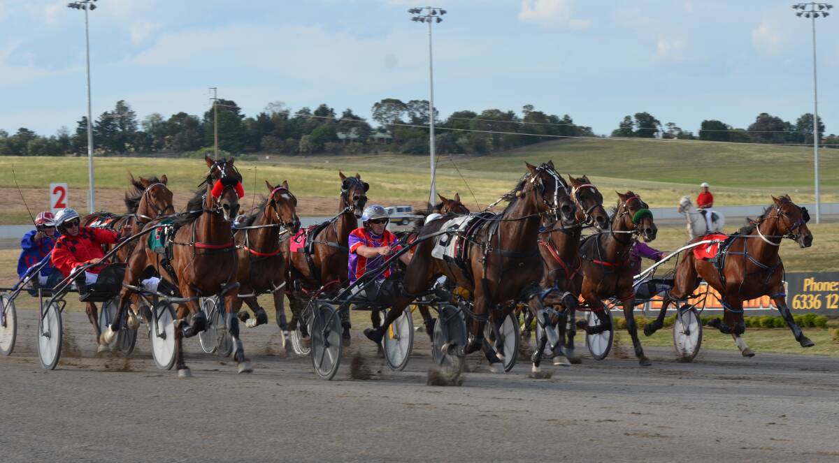 ON THE CHARGE: Carlas Angel (#3), with Mat Rue in the gig, hits the lead down the home straight at Bathurst. Photo: ANYA WHITELAW