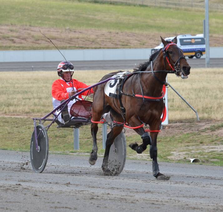 NICE RUN: Scarlet Babe posted an all the way win for Bernie Hewitt in heat two of the Soldiers Saddle series. Photo: ANYA WHITELAW