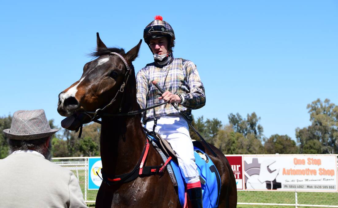 FINALLY: Paul Theobald's Tiger King, pictured after running second at Wellington with Will Stanley in the saddle, posted his maiden win at Mudgee on Saturday.