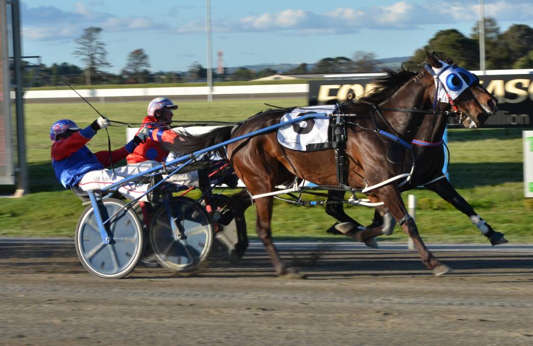 CLOSE FINISH: Nathan Turnbull drove Bomani (outside) to a half neck win over Drive To The Beach with his father Steve Turnbull in the gig. Photo: ANYA WHITELAW
