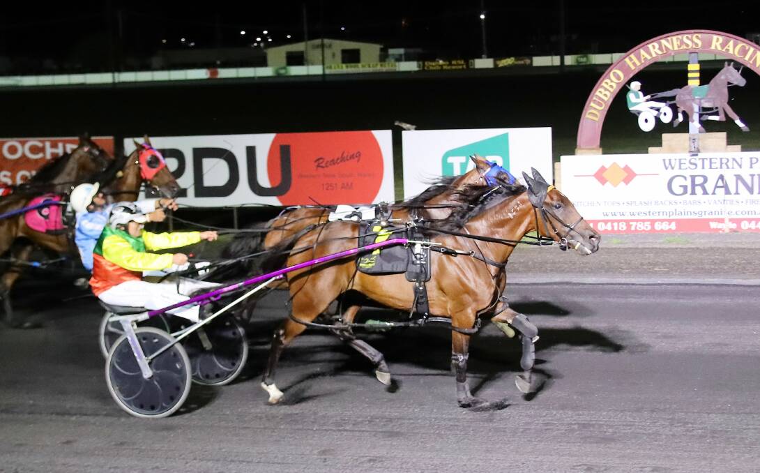 THREE IN A ROW: The McKayler Barnes trained and driven Kingston Shannon sticks his head in front of Greg Rue's Scaramucci to win at Dubbo on Friday night. Photo: COFFEE PHOTOGRAPHY AND FRAMING