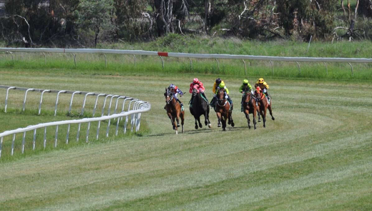 GREAT FOR RACING: The coverage of the track at Tyers Park is superb following the recent rain.