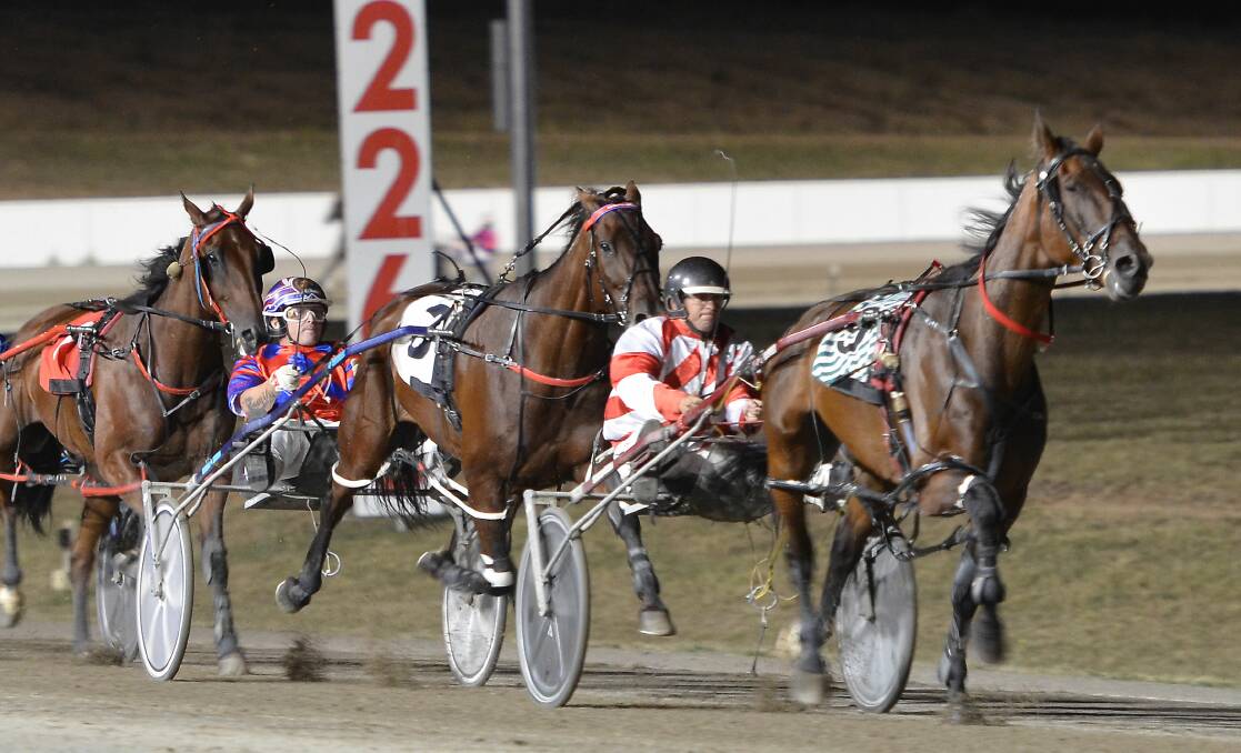 STABLE STAR: Nathan Hurst nominates Saloon Passage as the best horse he has driven during his career. Photo: ANYA WHITELAW